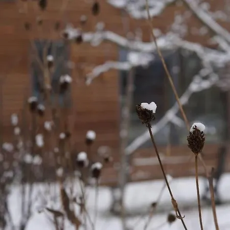 Gastehaus Familienheim Mit Garten Und Tieren Holiday home *